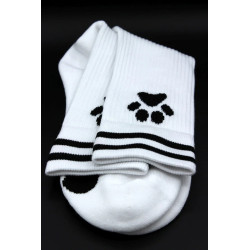 Sk8erboy Socks Puppy Sk8terboy